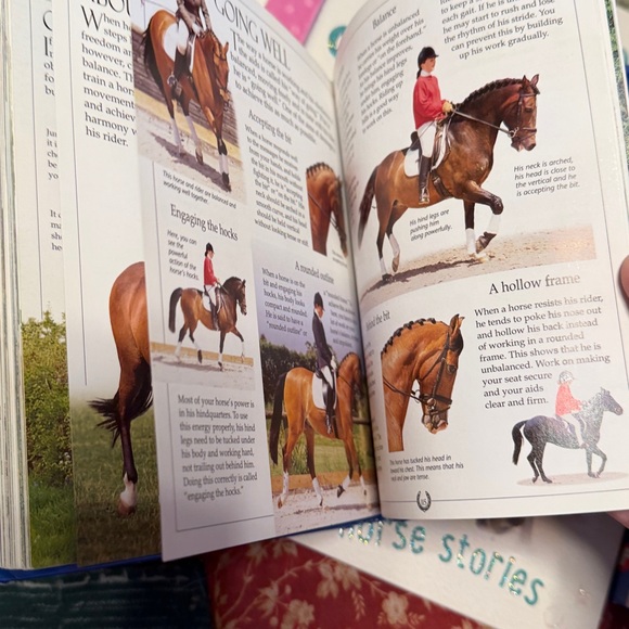 Children's Horse Picture Books Bundle - Colorful Covers - Picture 5 of 5